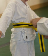 Martial Arts Belt with Base Colour and Black Stripe