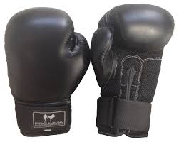 Boxing Gloves 10oz