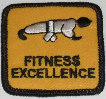 Fitness Excellence Badge