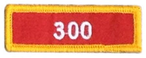 Martial Arts Good Deeds Badge 300